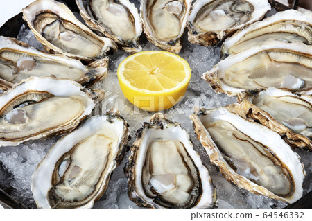 A dozen of oysters on ice with a lemon, a close-up shot A dozen of oysters on ice with a lemon, a close-up shot 64546332