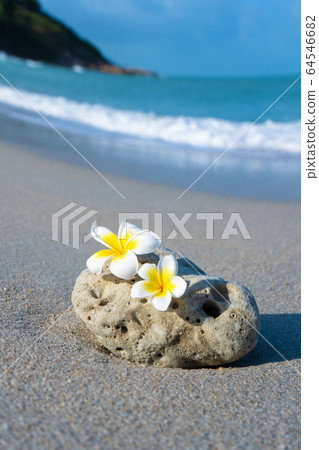 A small stone of an interesting smooth form is 64546682