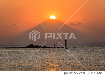 Spring at Manase Coast [Najima Torii] Diamond Fuji 64546684