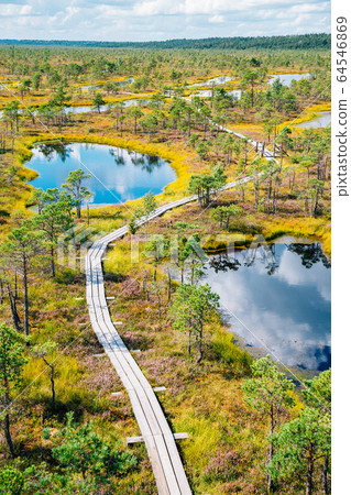 Kemeri National Park Bog trail in Latvia Kemeri National Park Bog trail in Latvia 64546869