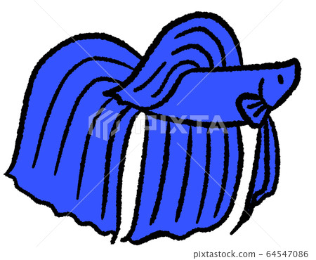 Solid solid (blue) 64547086