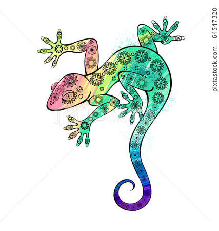 Rainbow gecko Rainbow gecko 64547320