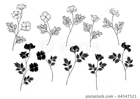 Monochrome California Poppy 64547321