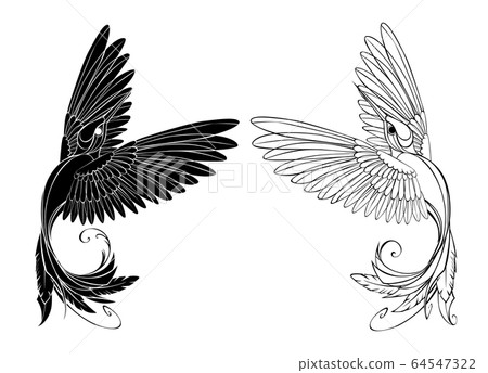 Monochrome Hummingbird 64547322
