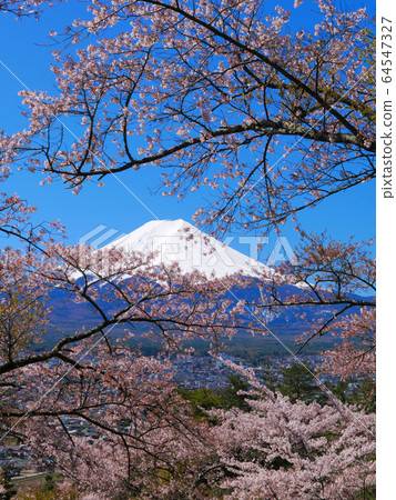 富士吉田市藤見高教公園和富士山2020/04/19 富士吉田市藤見高教公園和富士山2020/04/19 64547327