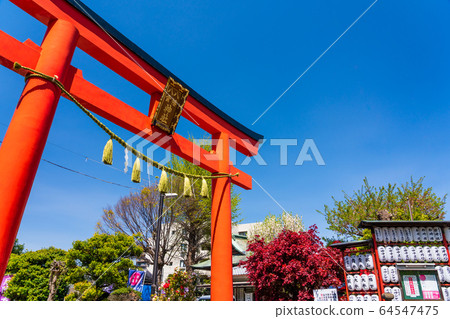 東京八王子市八man八雲神社 64547475