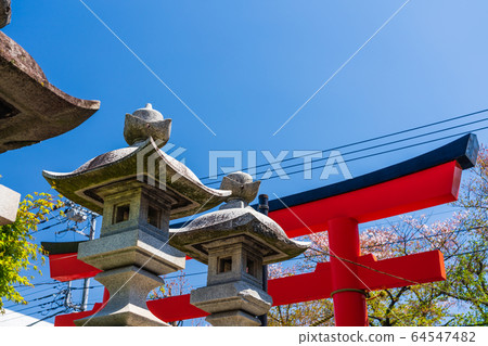 東京八王子市八man八雲神社 東京八王子市八man八雲神社 64547482