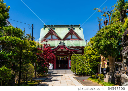 東京八王子市八man八雲神社 64547500