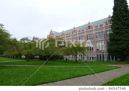 University University 64547546