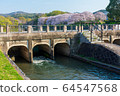Sakura in Satsuki Park in Kurashiki City 64547568