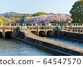 Sakura in Satsuki Park in Kurashiki City 64547570