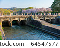 Sakura in Satsuki Park in Kurashiki City 64547577