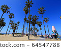 Venice Peach 64547788