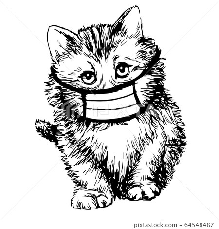 illustration of cat with mask hand drawn illustration of cat with mask hand drawn 64548487