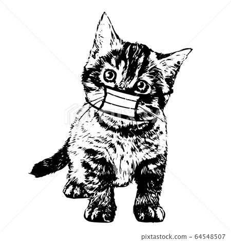 illustration of cat with mask hand drawn illustration of cat with mask hand drawn 64548507