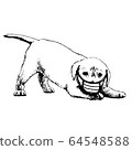 illustration of Labrador Retriever dog with mask 64548588
