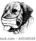 illustration of Labrador Retriever dog with mask 64548589