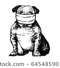 illustration of Bulldog with mask 64548590