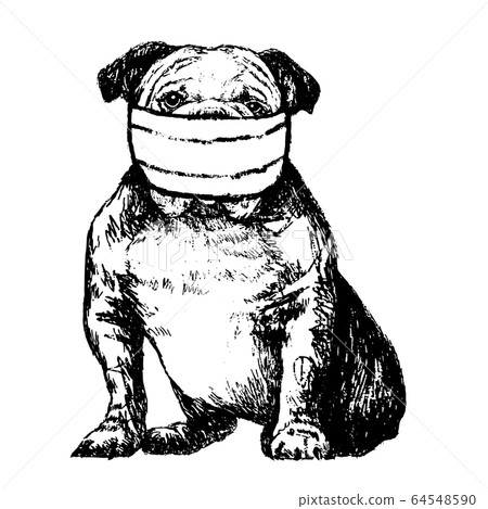 illustration of Bulldog with mask 64548590