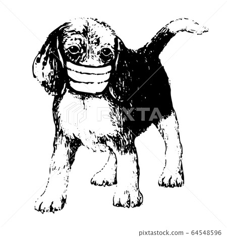 illustration of Beagle dog with mask illustration of Beagle dog with mask 64548596