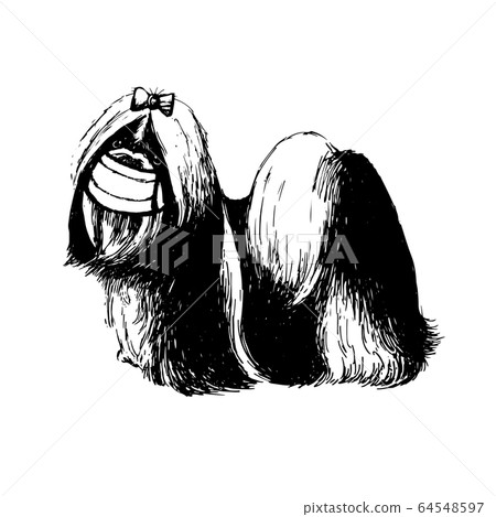 illustration of Shih Tzu dog with mask illustration of Shih Tzu dog with mask 64548597