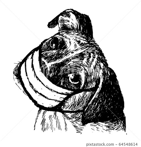 illustration of Boxer dog with mask 64548614