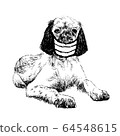 illustration of English setter dog with mask 64548615