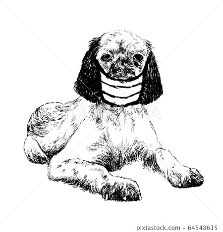 illustration of English setter dog with mask illustration of English setter dog with mask 64548615