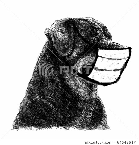 illustration of Rottweiler dog with mask 64548617