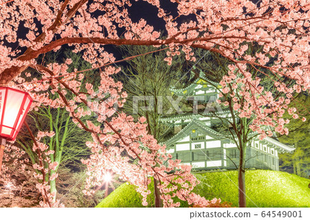 Japan's three biggest night cherry blossoms at Joetsutakada Castle Park Japan's three biggest night cherry blossoms at Joetsutakada Castle Park 64549001