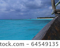 Zanzibar Blue 64549135