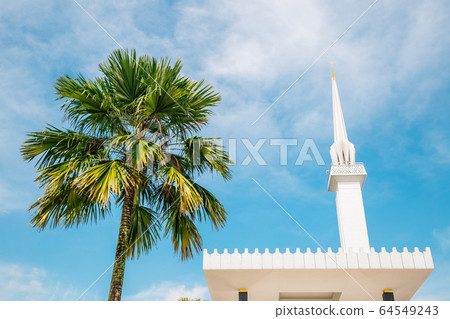 Masjid Negara mosque and palm tree in Kuala Lumpur, Malaysia 64549243