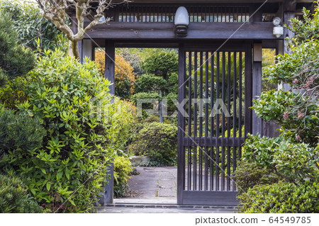 Building_entrance, approach, lattice door, plant 64549785