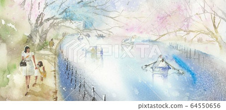 船池櫻花 64550656