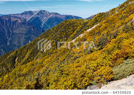 Senkiga的黃葉和樺木樺的黃葉在南阿爾卑斯山，鳳凰山和Kannon上的視圖 64550920