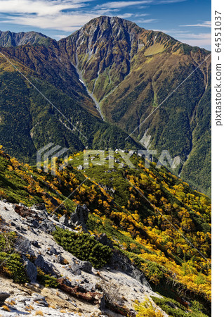 南阿爾卑斯山鳳凰山的樺樺的黃葉和北山 64551037