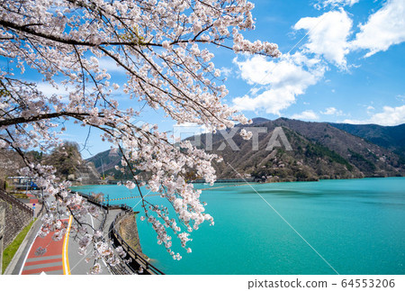 Okochi Dam and Sakura Okochi Dam and Sakura 64553206
