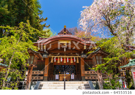 春天新鮮的綠色神社 春天新鮮的綠色神社 64553516