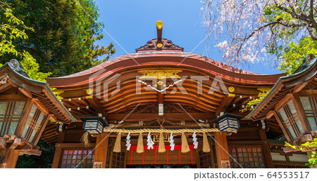 春天新鮮的綠色神社 春天新鮮的綠色神社 64553517