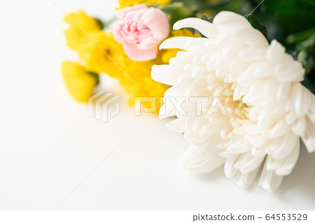 A spa A spa 64553529