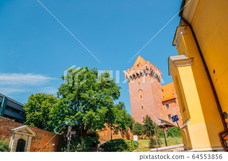 Royal Castle in Poznan, Poland 64553856