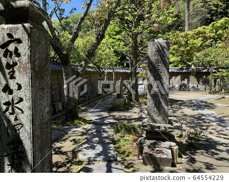 日本神廟 日本神廟 64554229
