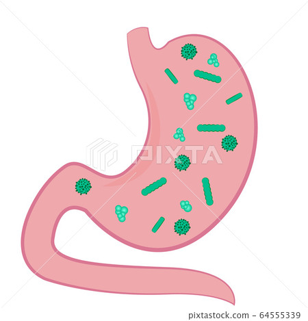 A Stomach full of microbs 64555339