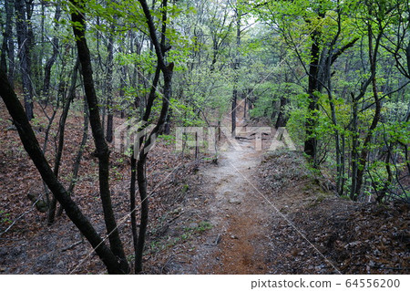 Bukhansan. National Park. Spring 64556200