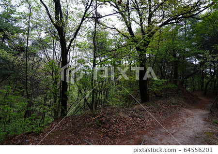 Bukhansan. National Park. Spring Bukhansan. National Park. Spring 64556201