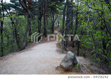 北漢山,國家公園,春天 北漢山,國家公園,春天 64556242