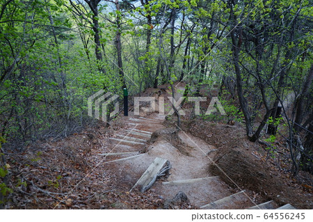 Bukhansan. National Park. Spring 64556245