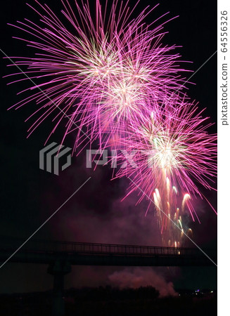 背景夏季活動煙花匯演 64556326