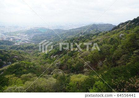 北漢山，國家公園，春天 64556441
