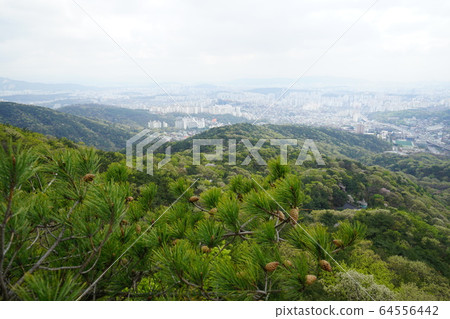 北漢山，國家公園，春天 64556442
